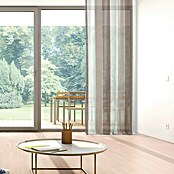 Visillo para ventana Dax  (140 x 250 cm, 100% poliéster, Multicolor)
