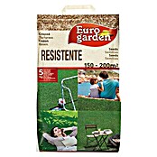 Semillas de césped resistente Euro garden (5 kg)