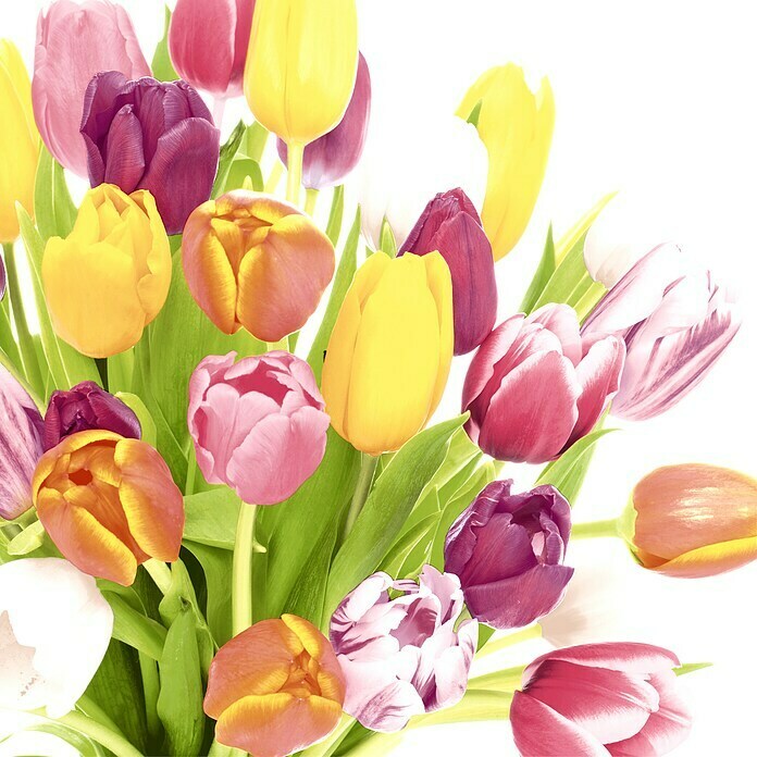 Duni Serviette (20 Stk., 33 x 33 cm, Beautiful Tulips)