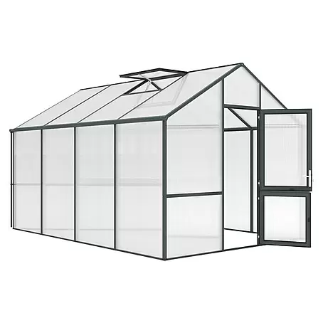 KGT  Gewächshaus Dahlie IV