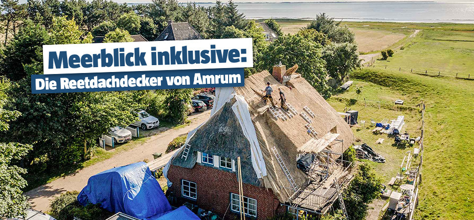 Reetdach erneuern: Diese Mnner wissen, wie's luft! | BAUHAUS