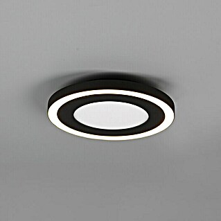 Reality Leuchten Plafón LED redondo Carus (10 W, Ø x Al: 20 x 4,5 cm, Negro, Blanco cálido)