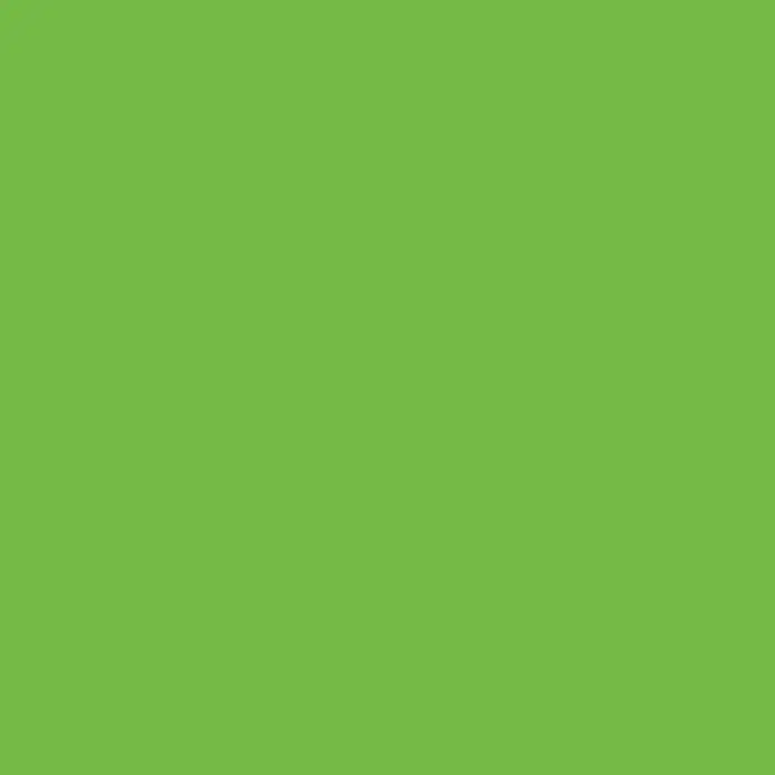 Alpina Vollton- & Abtönfarbe Color - Grass Green, Matt, 250 ml, Lösemittelfrei - Einfarbiger Hintergrund in einem leuchtenden, frischen Grünton, ideal für vielfältige Designzwecke und zur Hintergrundgestaltung.