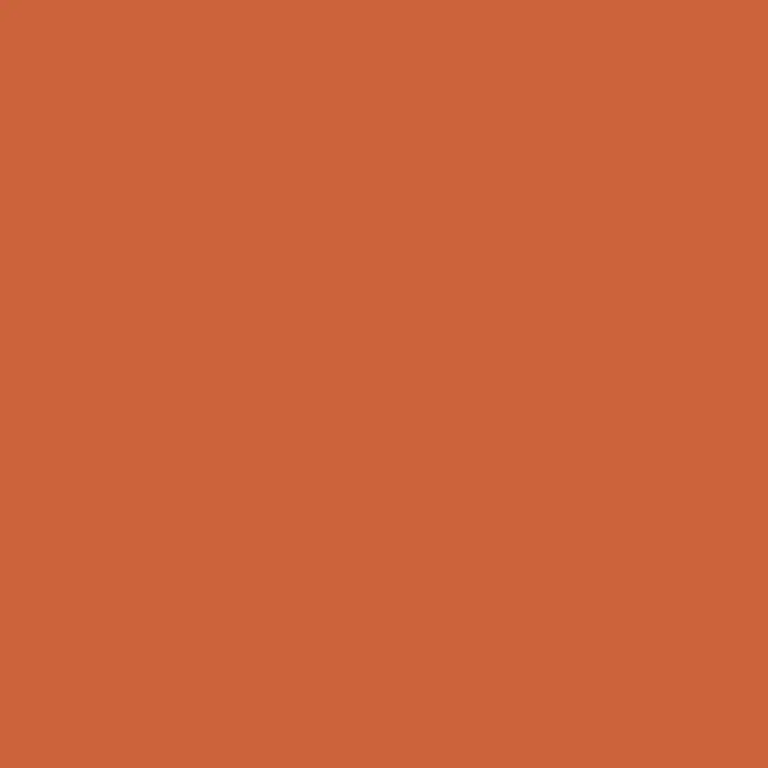 Alpina Vollton- & Abtönfarbe Color - Italian Red, Matt, 250 ml, Lösemittelfrei - Einfarbiges Bild in einem satten, warmen Terrakotta-Ton, ideal für Hintergründe oder zur Hervorhebung anderer Designelemente.