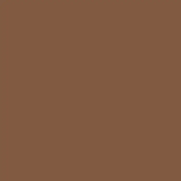 Alpina Vollton- & Abtönfarbe Color - Candy Brown, Matt, 250 ml, Lösemittelfrei - Einfarbiger Hintergrund in einem mittleren Braunton, ideal als neutrale Basis für Designprojekte oder Präsentationen.