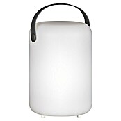 FHL easy Akku-Tischleuchte ORNO (0,5 W, L x B x H: 14 x 14 x 20 cm, Weiß, RGB, Akkubetrieben) | BAUHAUS