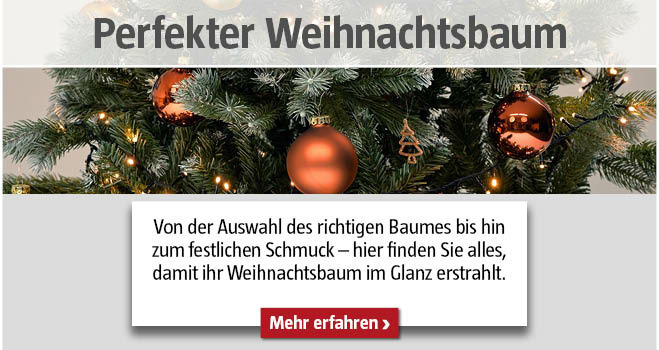 Weihnachtsbaum
