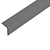 Kantoflex Perfil angular (100 x 2,5 x 2,5 cm, Espesor: 1 mm, Antracita) | BAUHAUS
