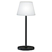 FHL easy Akku-Tischleuchte FLUS (1,5 W, L x B x H: 15 x 15 x 38 cm, Schwarz, Warmweiß) | BAUHAUS