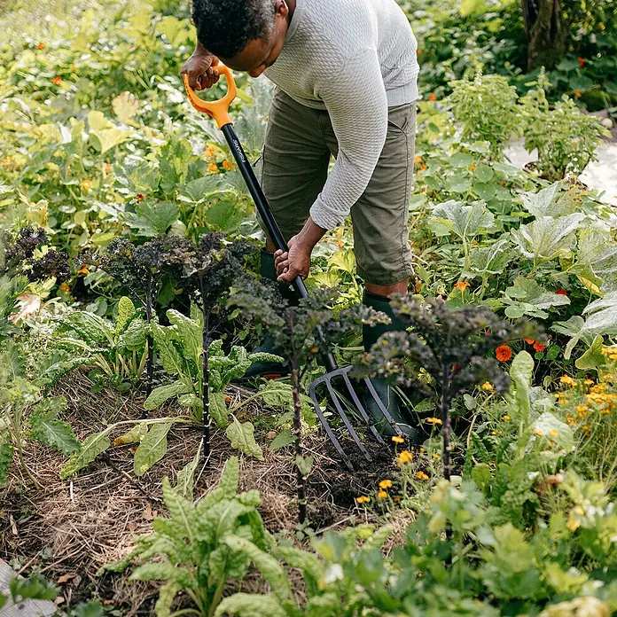 Fiskars Solid Spatengabel - Anzahl Zinken: 4, Langstiel - Eine Person benutzt eine Fiskars Grabegabel in einem üppigen Garten mit verschiedenen Pflanzen und Blumen. Das Werkzeug hilft bei der Gartenarbeit.