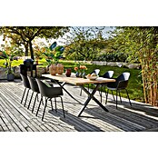 Sunfun Gartenmöbel-Set My (8 -tlg., Baumkante/X-Gestell, Teak/Edelstahl/Kunststoff, Teak/Grau/Schwarz) | BAUHAUS