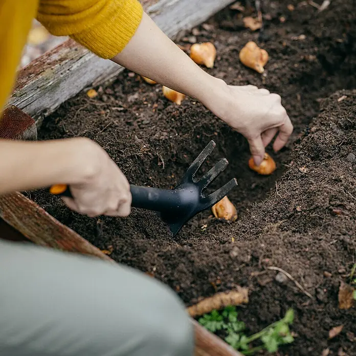 Fiskars Solid Kleinhacke - Arbeitsbreite: 7,4 cm, Blattform: Gerade, Anzahl Zinken: 3 - Eine Person pflanzt Blumenzwiebeln mit einer kleinen Harke in einem Gartenbeet, um im Frühling eine bunte Blumenpracht zu erhalten.