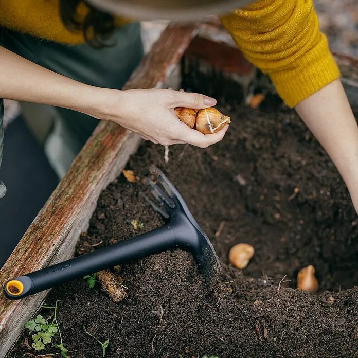 Fiskars Solid Kleinhacke - Arbeitsbreite: 7,4 cm, Blattform: Gerade, Anzahl Zinken: 3 - Eine Person pflanzt Blumenzwiebeln mit einem Fiskars-Gartengerät in ein Beet.