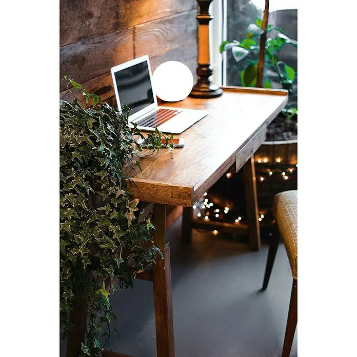 FHL easy Akku-Tischleuchte BUSSO - 0,1 W, L x B x H: 18 x 18 x 16 cm, Weiß, RGB - Ein hölzerner Schreibtisch mit Laptop, Lampe und Pflanzen schafft eine gemütliche Arbeitsatmosphäre. Die warmen Holztöne laden zum Verweilen ein.