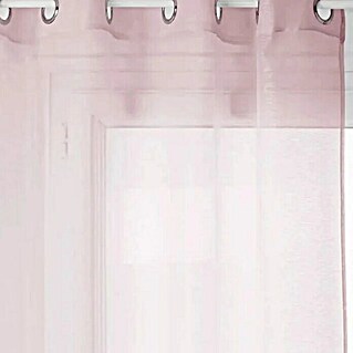 Zavjesa s oknima Moly (Š x V: 135 x 240 cm, Ružičasta, 100% poliester)