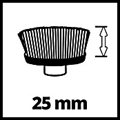 Einhell Power X-Change 18V Ersatzbürste ULTRA 95/25 (Passend für: Einhell Power X-Change 18V Akku-Reinigungsbürste Picobella 18/90) | BAUHAUS