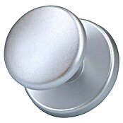 Veilig Deurgreep Knop 160/60 (Lengte: 50 mm, F1) | BAUHAUS
