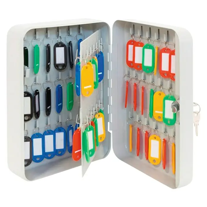 Arregui Armario para llaves PLL60 - L x An x Al: 8 x 15 x 25 cm, Gris - Armario de llaves metálico con llaveros de colores y una llave para un almacenamiento seguro de llaves.