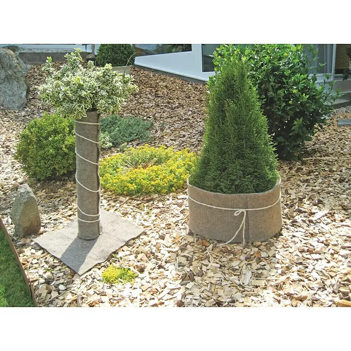 Windhager Kälteschutz Schafwoll-Filzmatte - L x B: 2 x 0,5 m, Grau - Zwei mit Vlies umwickelte Pflanzen im Garten, eine als Baum und die andere als Strauch, für Winterschutz und dekorativen Look.
