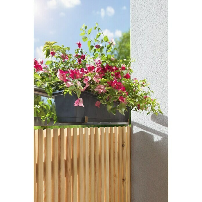Windhager Blumenkastenhalter (Terracotta, 1-fach verstellbar, 2 Stk.)