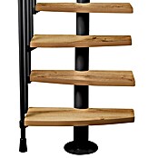 Atrium Raumspartreppe Mini Plus Vertical (Farbton Metall: RAL 9005, Breite: 60 cm, Eiche, Geschosshöhe: 222 cm - 300 cm) | BAUHAUS