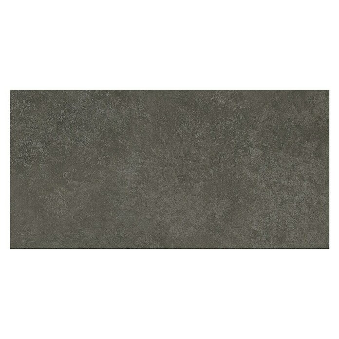 Feinsteinzeugfliese Ardezia (29,8 x 59,8 cm, Graphite, Matt) | BAUHAUS