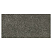 Granitogresne ploščice Ardezia  (29,8 x 59,8 cm, Mat) | 4240 - Natursteinoptik | EAFA - Bodenfliesen | EAF - Fliesen | EA - Fliesen | E - Fliesen | BAUHAUS