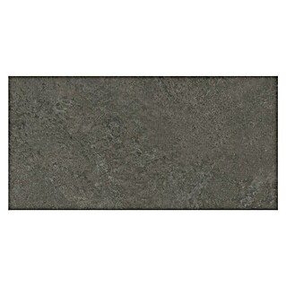 Granitogresne ploščice Ardezia (29,8 x 59,8 cm, Mat)