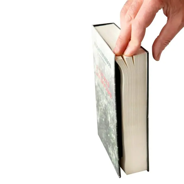 Arregui Caja de caudales Book C-9381 - L x An x Al: 22 x 15,4 x 2,2 cm - Primer plano del libro titulado "A Sacred Landscape" de Hugh Thomson, con una mano hojeando sus páginas.