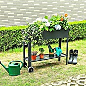 Floraworld Hochbeet Mobil (41 x 100 x 80 cm, Stahl, Anthrazit) | BAUHAUS