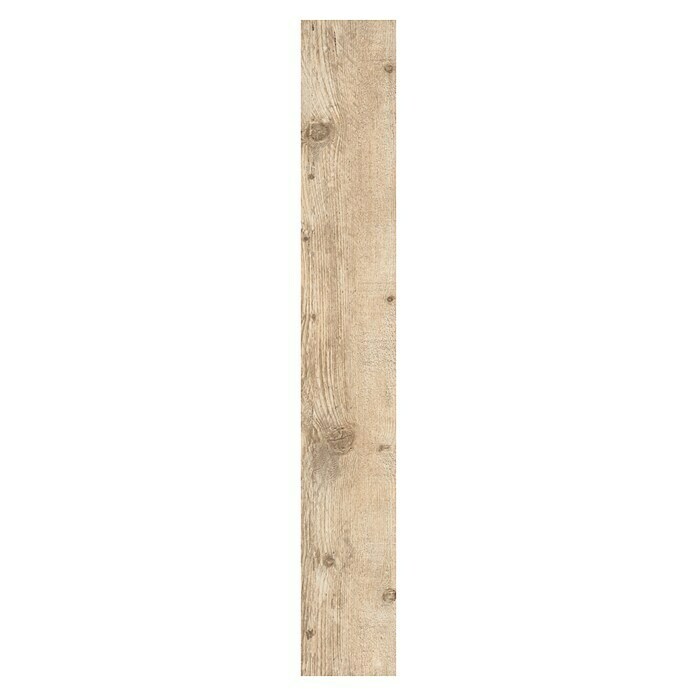 Classen Laminat 831-4 (1.286 x 194 x 8 mm, Landhausdiele, Pine Light beige) | BAUHAUS