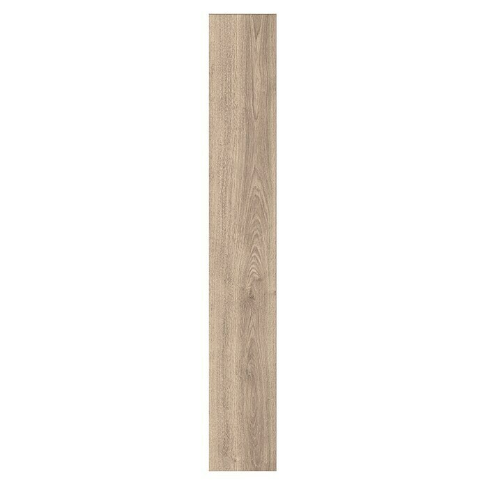 Classen Laminat 731-4 (1.286 x 194 x 7 mm, Landhausdiele, Eiche Natur grau) | BAUHAUS