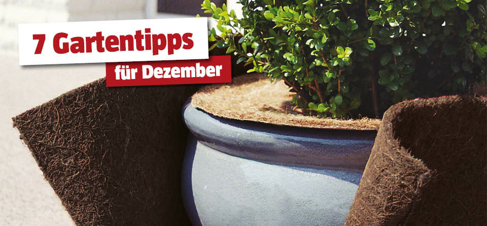 Gartentipps Dezember
