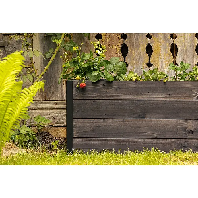 Upyard Hochbeet Gardenbox I-Box - 120 x 80 x 40 cm, Holz, Schwarz - Ein erhöhter Pflanzkasten aus dunklem Holz mit Erdbeerpflanzen, der sich perfekt für den Garten eignet und frische Ernten verspricht.