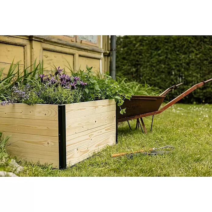 Upyard Hochbeet Gardenbox I-Box - 120 x 80 x 40 cm, Holz, Natur - Helles Hochbeet aus Holz mit schwarzen Stützen, gefüllt mit violettem Lavendel und grünen Kräutern.