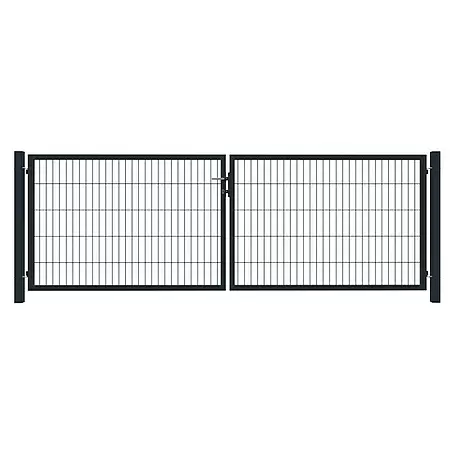 T & J  Zauntor Basic