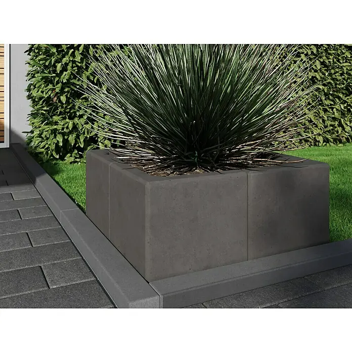 Diephaus L-Stein Außenecke - 50 cm, 50 cm, Stärke: 7 cm, Anthrazit - Nahaufnahme eines quadratischen, grauen Betonpflanzgefäßes mit einer üppigen grünen Pflanze, das auf einem Gehweg aus grauen Pflastersteinen steht.