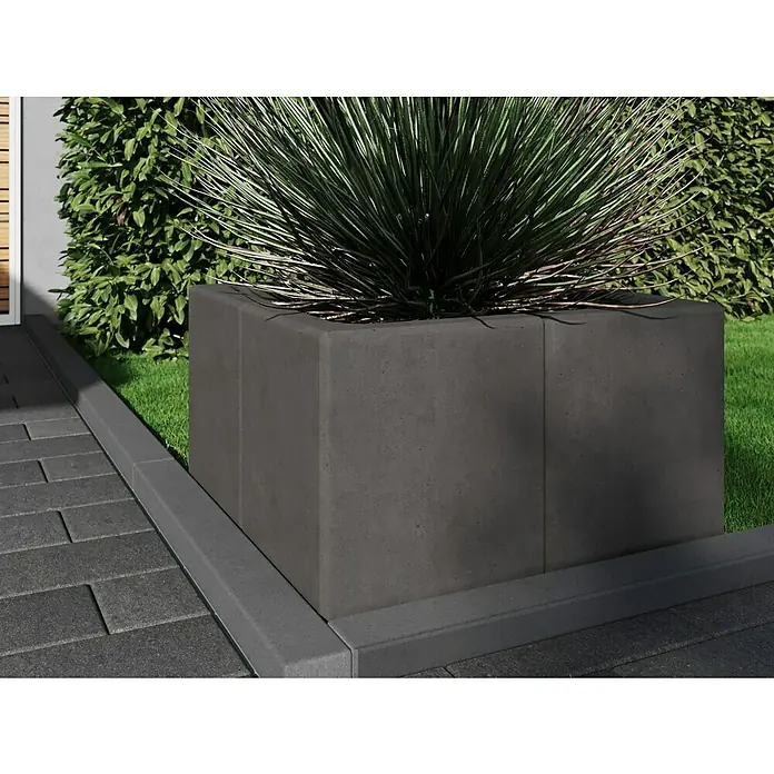 Diephaus L-Stein Außenecke - 60 cm, 50 cm, Stärke: 7 cm, Anthrazit - Der große, dunkle Pflanzkübel aus Beton ist mit einer stacheligen Pflanze bepflanzt und steht an einem gepflasterten Weg neben einer grünen Hecke.