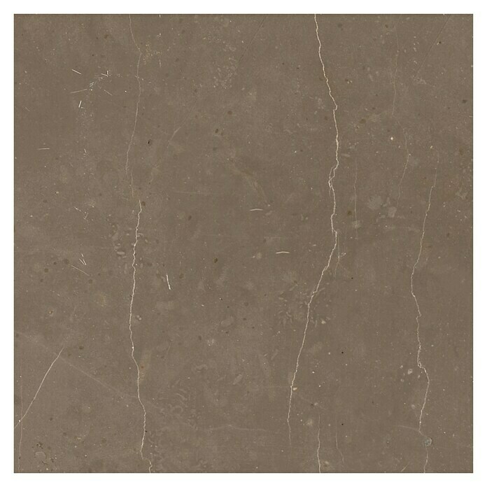 Feinsteinzeugfliese Versilia Bronzo (60 x 60 cm, Braun, Glasiert)