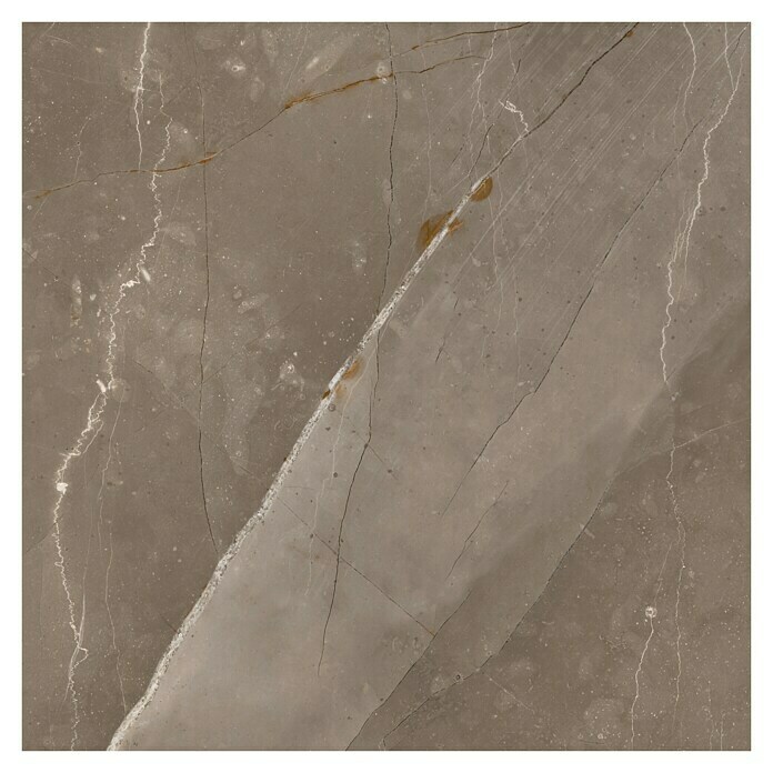Feinsteinzeugfliese Versilia Bronzo (60 x 60 cm, Braun, Glasiert)