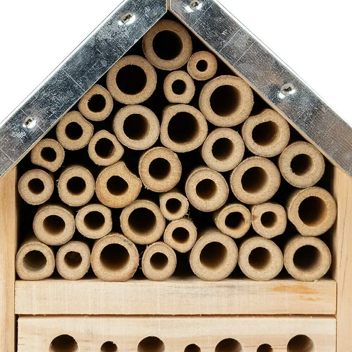 Windhager Insektenhotel TinyL x B x H: 26 x 15 x 9 cm, Spitzdach - Nahaufnahme eines Insektenhotels, das mit Bambusröhren gefüllt ist und einen sicheren Unterschlupf für verschiedene Insekten bietet.
