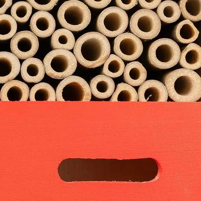 Windhager Insektenhotel TowerL x B x H: 49 x 29 x 10 cm, Holz - Nahaufnahme eines Insektenhotels mit Bambusröhren und einem roten Holzrahmen mit Loch für einen einfachen Zugriff.