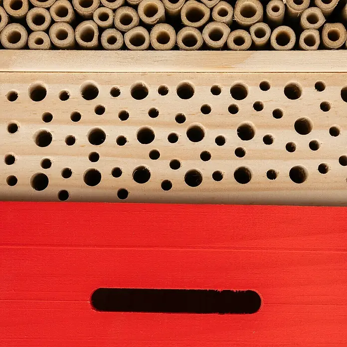 Windhager Insektenhotel Hexagon - L x B x H: 33,5 x 28 x 10 cm, Holz - Nahaufnahme einer Insektenhotelstruktur mit Bambusrohren, Holz mit Löchern und einem roten Abschnitt.