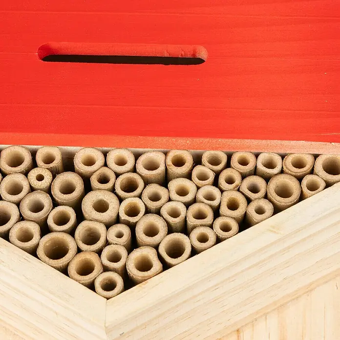 Windhager Insektenhotel HexagonL x B x H: 33,5 x 28 x 10 cm, Holz - Nahaufnahme eines Insektenhotels mit roten und hellen Holzdetails, gefüllt mit Bambusröhren für Insekten.
