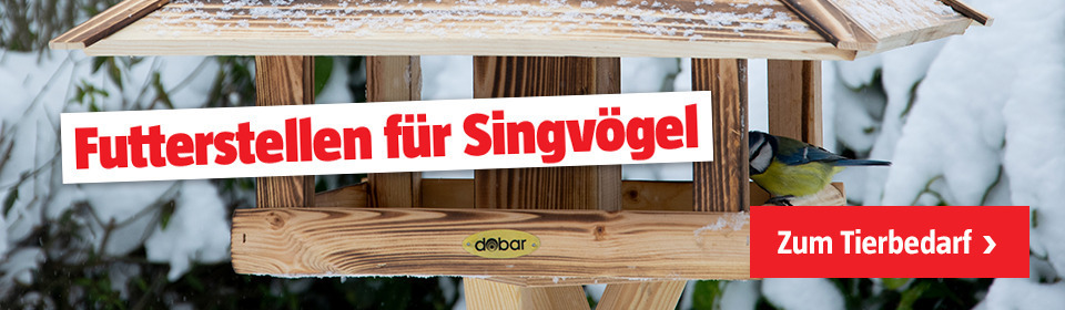 Vögel im Winter füttern