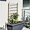 Windhager Rankhilfe Holzleiter (B x H: 60 x 120 cm, Holz, Hellbraun) | BAUHAUS