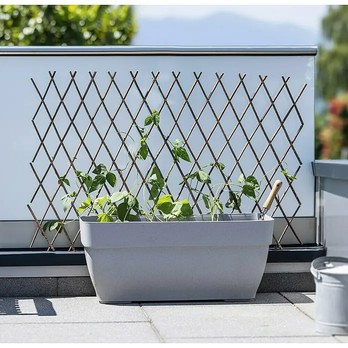Windhager Wandspalier Weide - B x H: 180 x 60 cm, Weide - Grauer Pflanzkasten mit Rankgitter und grünen Pflanzen vor einem modernen Balkongeländer. Ein Gartenwerkzeug steckt im Kasten.