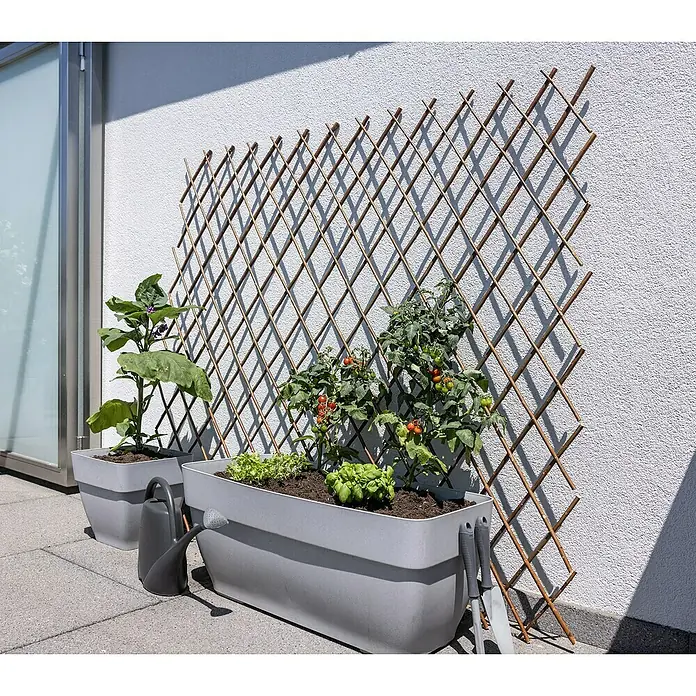 Windhager Wandspalier Weide - B x H: 180 x 120 cm, Weide - Balkon-Arrangement mit Pflanzkästen, Rankgitter und Bewässerungskanne für einen urbanen Garten mit frischen Kräutern und Gemüse.