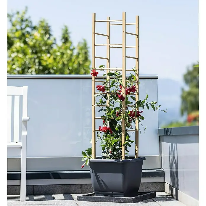Windhager Rankhilfe Turm - L x B x H: 29 x 29 x 145 cm, Holz - Das Rankgitter aus Holz mit der Kletterpflanze Mandevilla ist ein dekoratives Gartenelement für Balkon oder Terrasse.