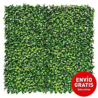 Jardín vertical Laurel (Plástico, L x An: 100 x 100 cm, Apto para: Decoración)